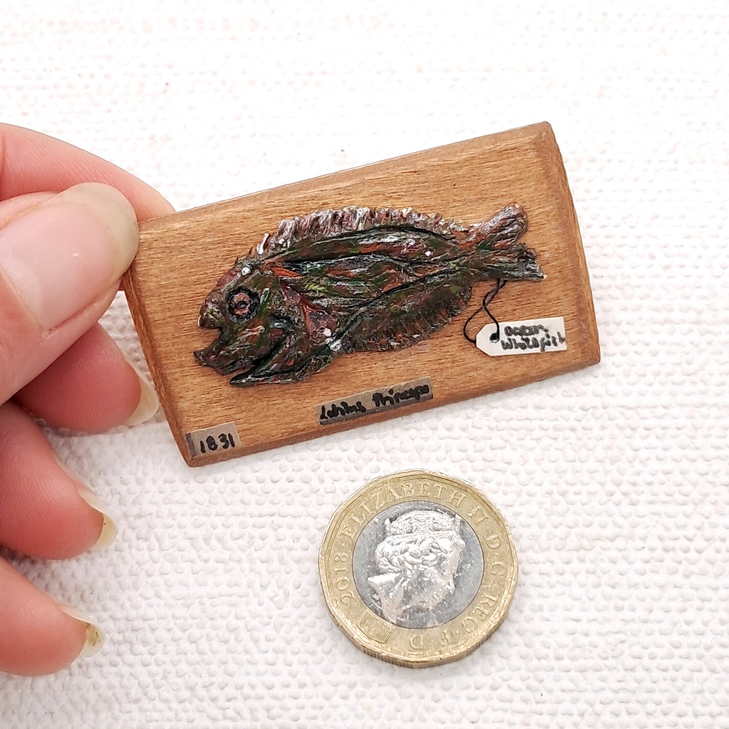 Miniature Fish Specimen