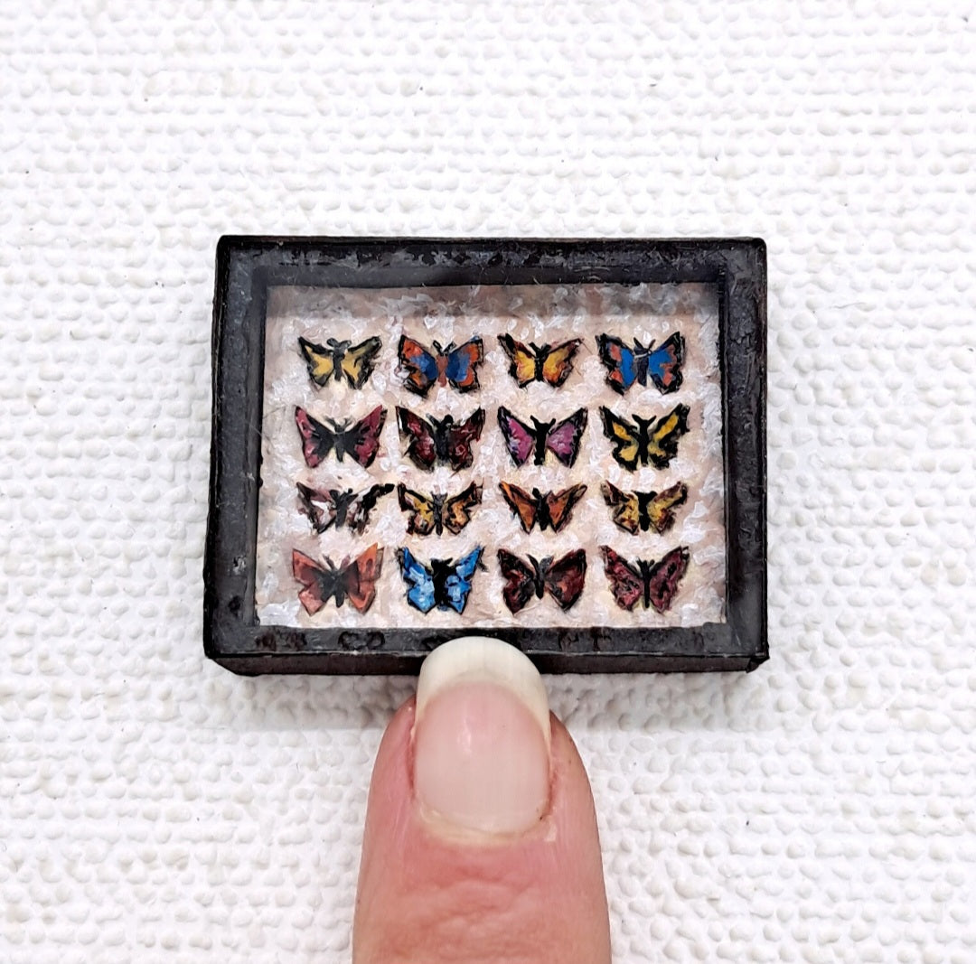 Miniature Butterfly Collections