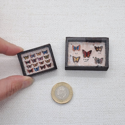 Miniature butterfly collections in wooden boxes with Perspex lids. The tiny butterflies are cut from paper and hand painted. They are shown next to a hand and pound coin to show their 1/12th scale