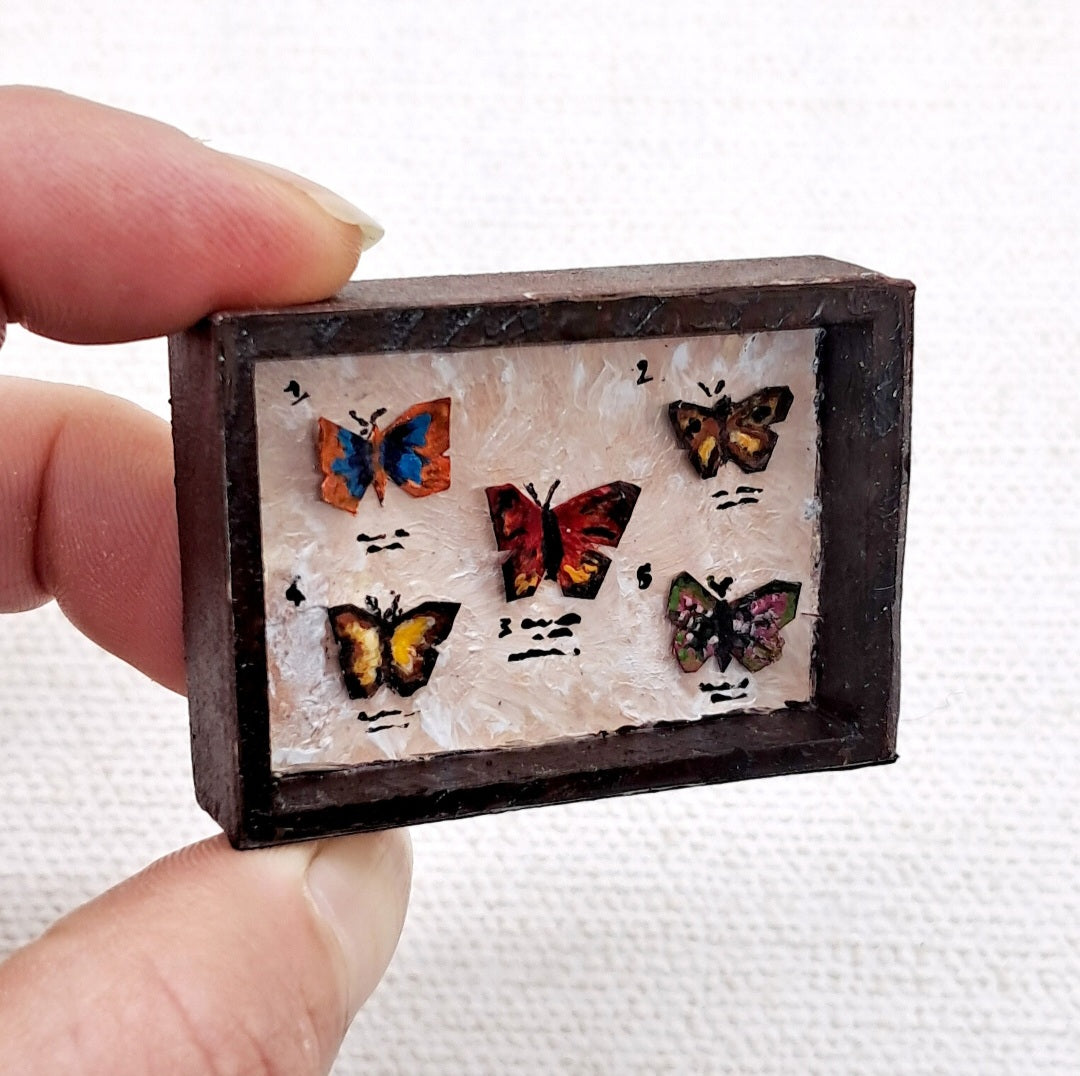 Miniature Butterfly Collections