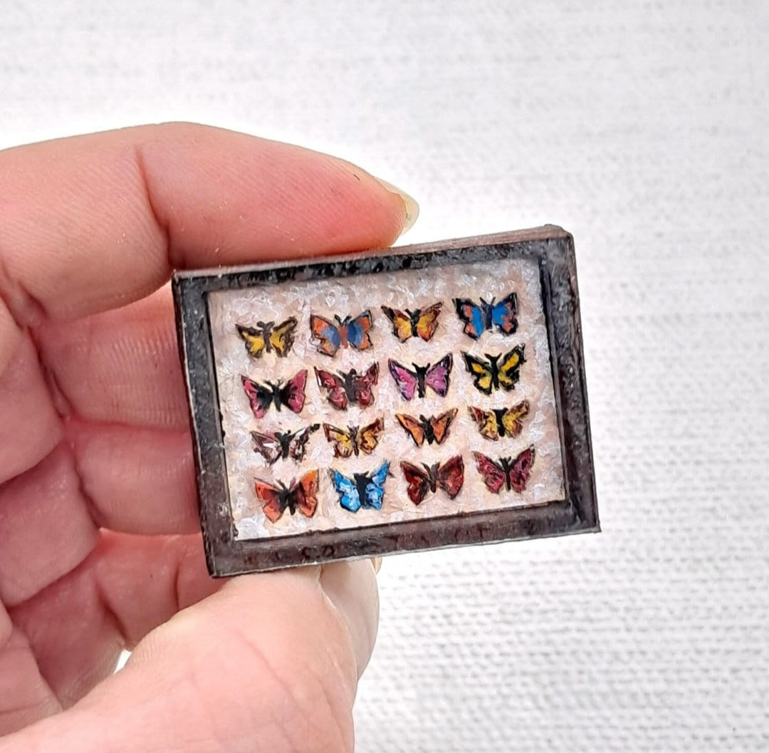 Miniature Butterfly Collections