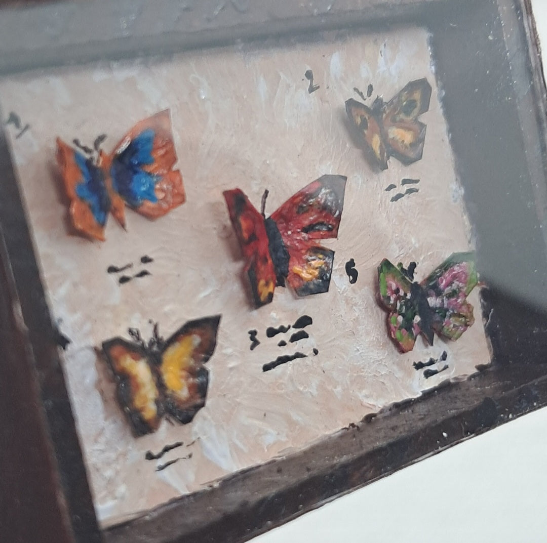 Miniature Butterfly Collections