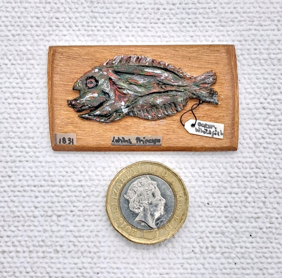 Miniature Fish Specimen