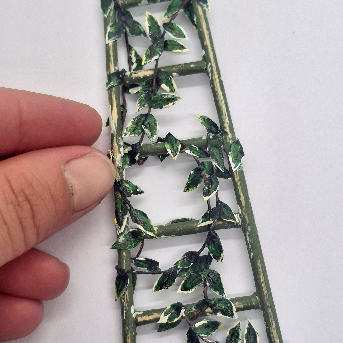 Ladder & Foliage