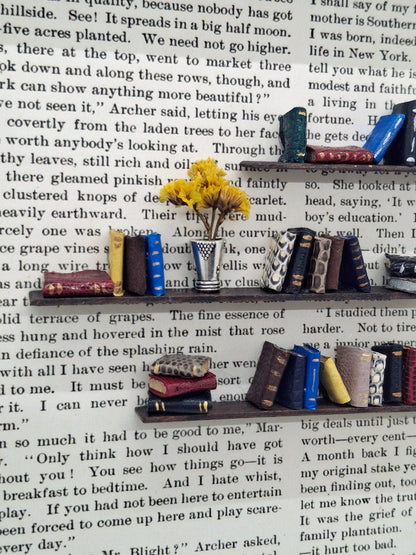 Medium Framed Book Diorama