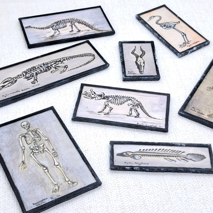 Miniature Skeleton Artworks