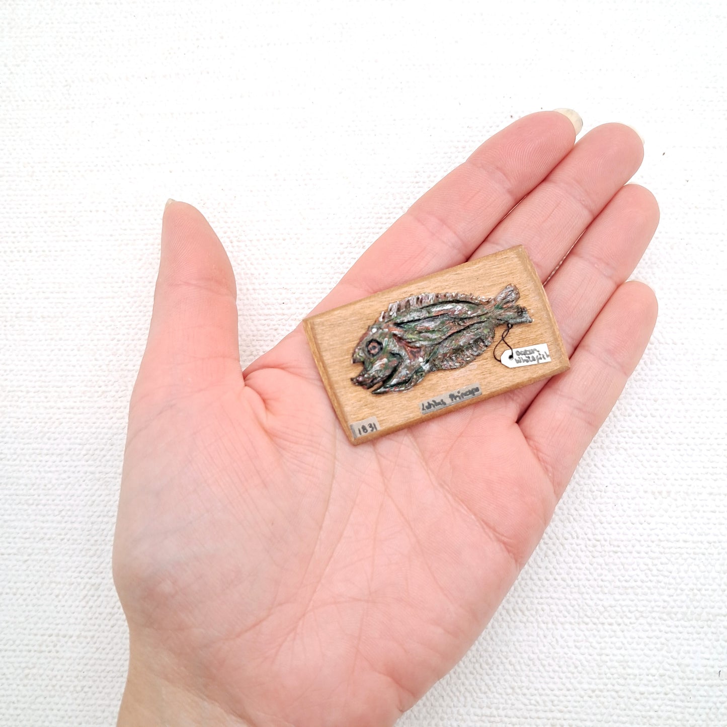 Miniature Fish Specimen