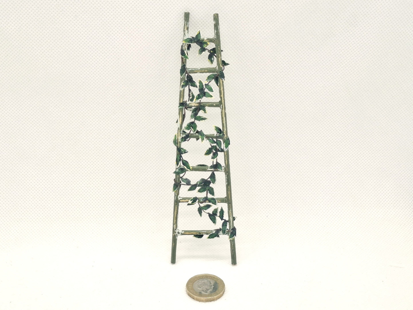 Ladder & Foliage
