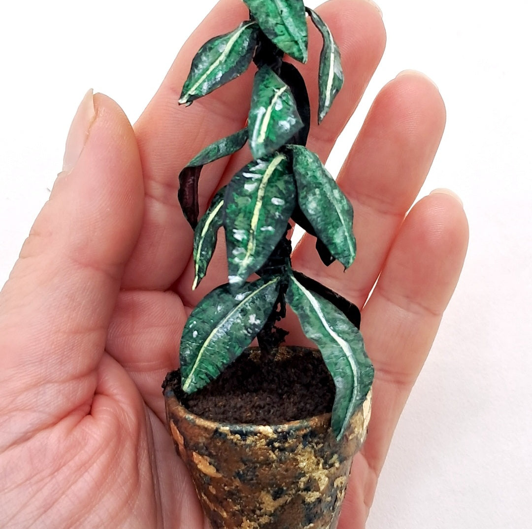 Miniature Potted Plant