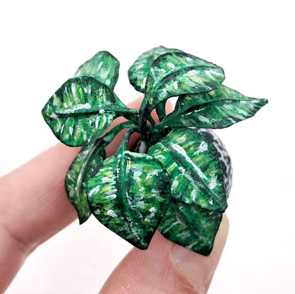 Miniature Chinese Evergreen